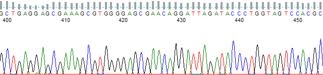 pt_nsp_0_400