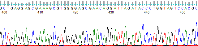 pt_nsp_5_400