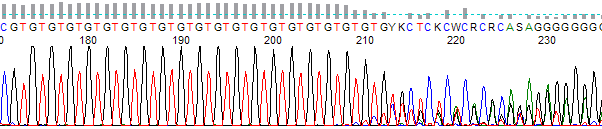 Dinucleotide Run (Microsatillite) Slippage