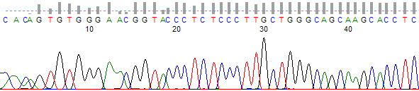 Figure 2. Trace skipped by Auto PeakTrace 6. Note that this trace has had trimming applied, however the rest of the trace is identical to the original file