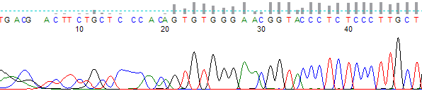 Figure 1. KB basecalled short trace before processing