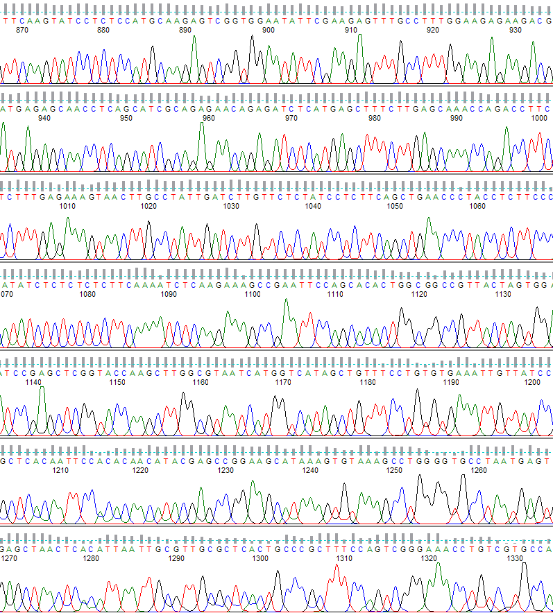 PeakTrace Basecalling example