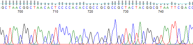 Figure 1. An example of an untrimmed trace.