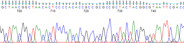 Figure 1. An example of an untrimmed trace.