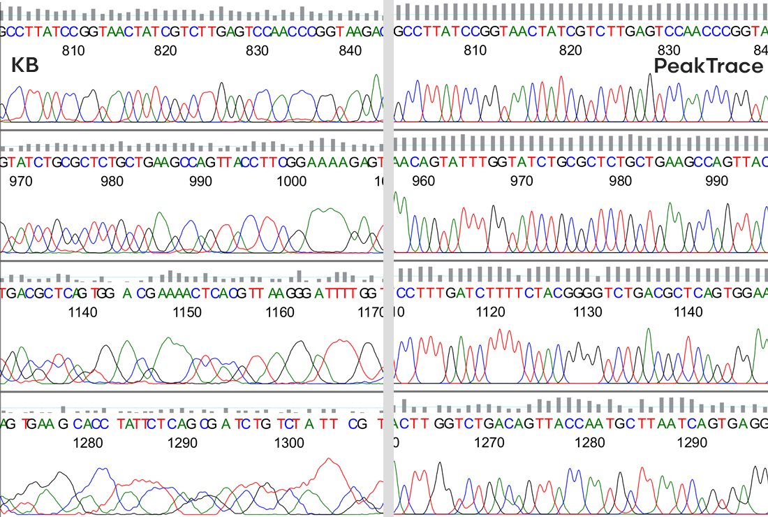 Comparison between the KB & PeakTrace Basecaller