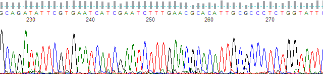 Figure 1. KB Basecaller