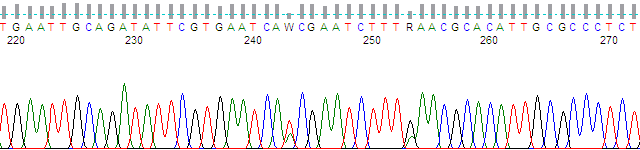 PeakTrace mixed basecalling at 40% with clean baseline and extra baseline. 